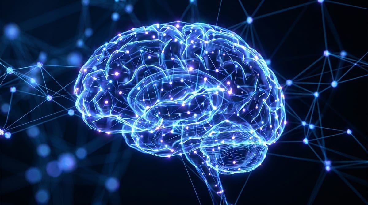 How to Register a .ai Domain (Anguilla's ccTLD for AI)